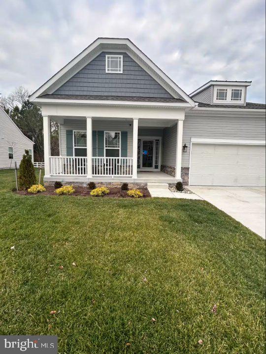 100 ALBEMARLE COURT