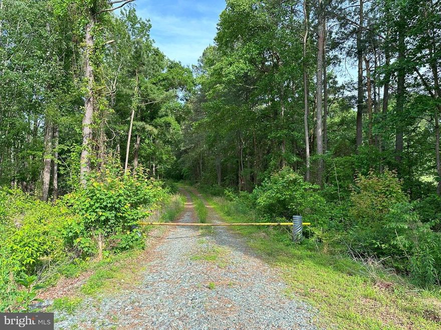 The Martin Pitts Tract is 132 acres located on Haden Martin Road near Kidds Store. This parcel is located 15 miles from Zion Crossroads. The tract lays rolling with a small creek going through the northern portion of the property. The timber consists of 24 acres of 1973 planted Loblolly pine, 5 acres of 1987 planted Loblolly pine, 78 acres of 2024 planted Loblolly pine and 16 acres of mature hardwoods. There is a utility line crossing the property allowing for food plots for wildlife. The Martin Pitts property is an excellent tract for timber investment, estate and or recreational opportunities.