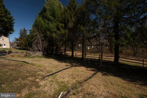 listing image 26