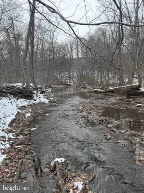 Vacant Land For Sale - 18951 Amberson Road<br/> SPRING RUN, PA 17262