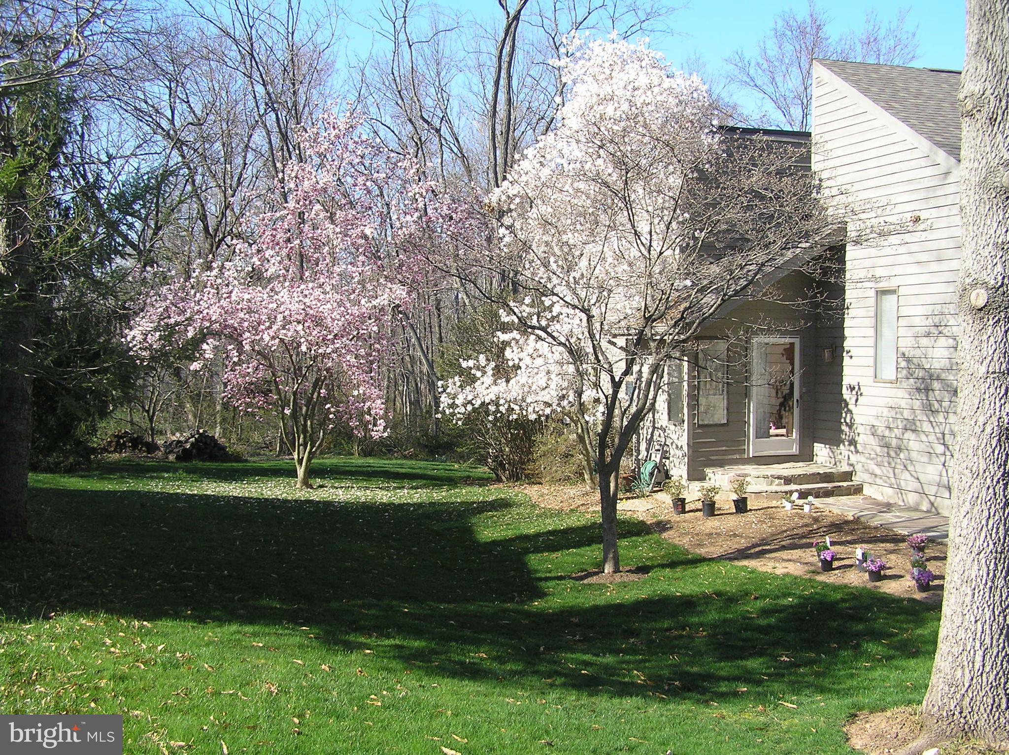 KINGS CONTRIVANCE - Residential