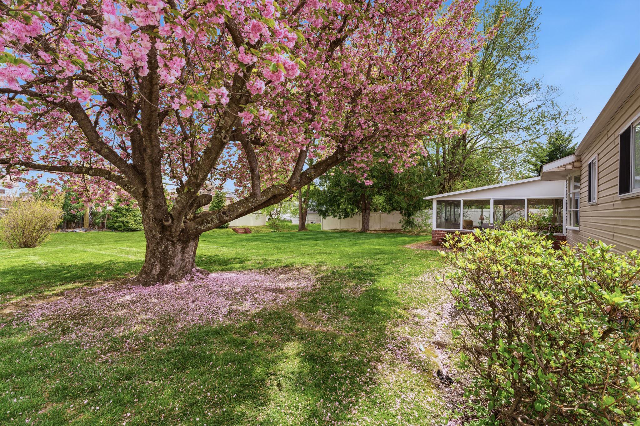 COLONIAL VIL - Residential