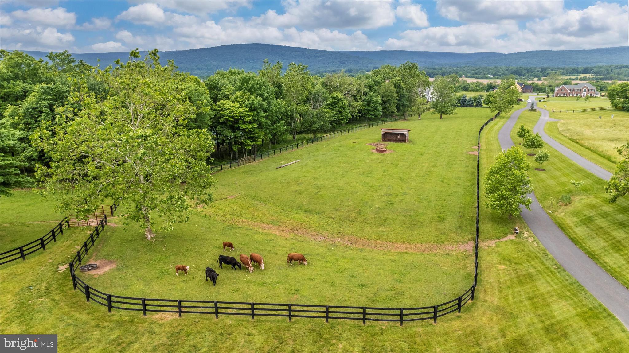 NONE AVAILABLE - Farm