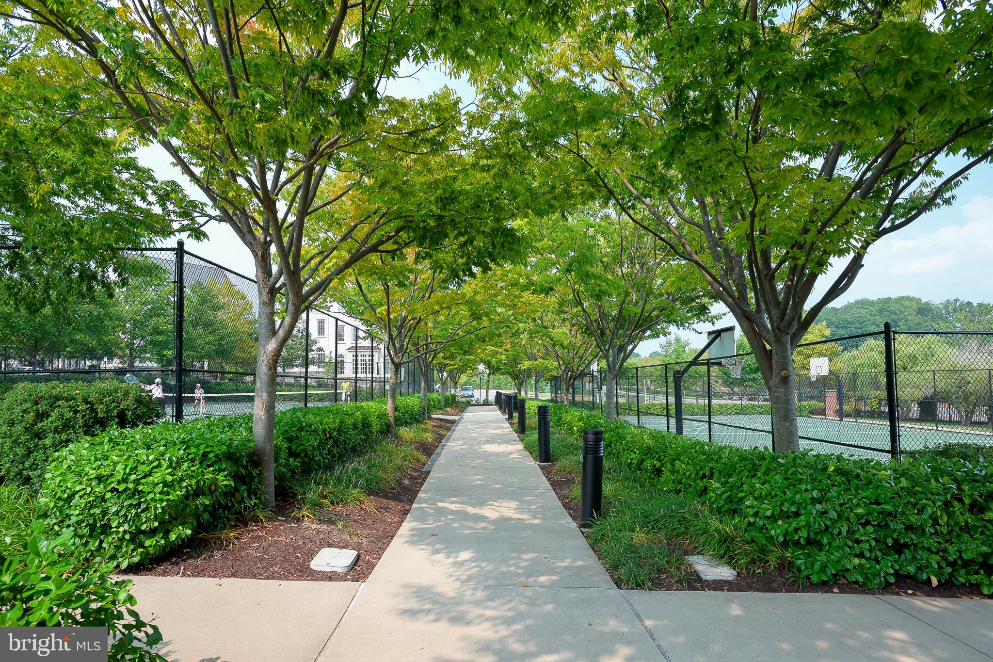 MAPLE LAWN - Residential