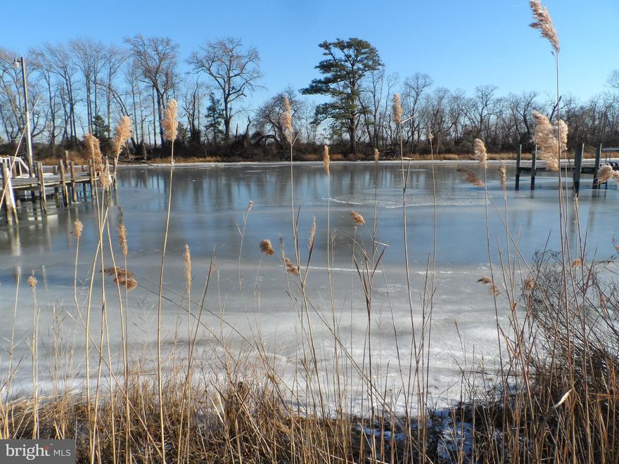 Endless opportunities for this waterfront Lot located on Little Creek / Crab Alley.  **Property has NO Electric On Site**  Buyer to be responsible for any and all fees to obtain any type of permits. Great Summer Get-A-Way to enjoy your Fishing, Swimming, and Boating on one of finest tributaries on the Chesapeake Bay!