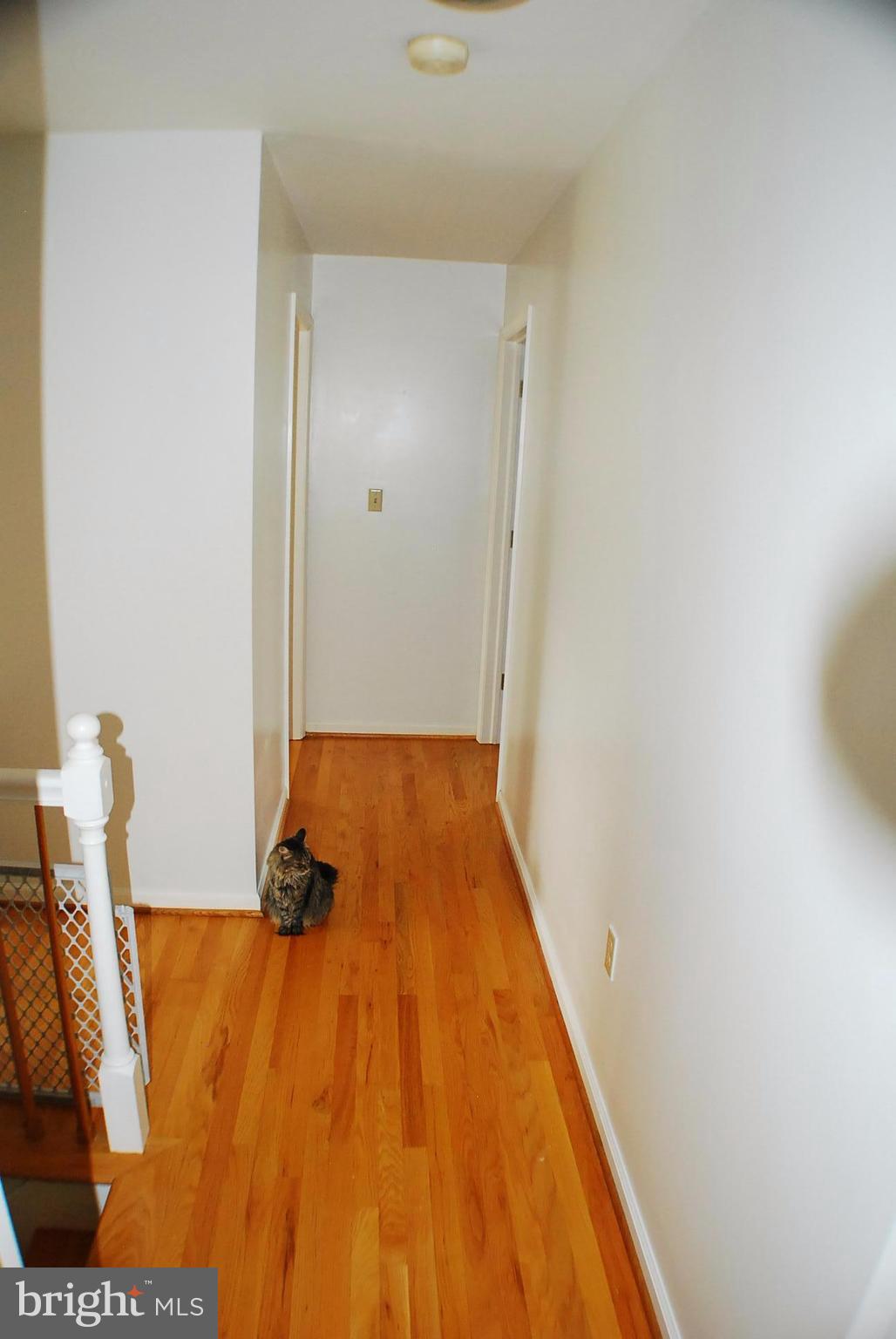 COUNTRY LIFE ACRES - Residential