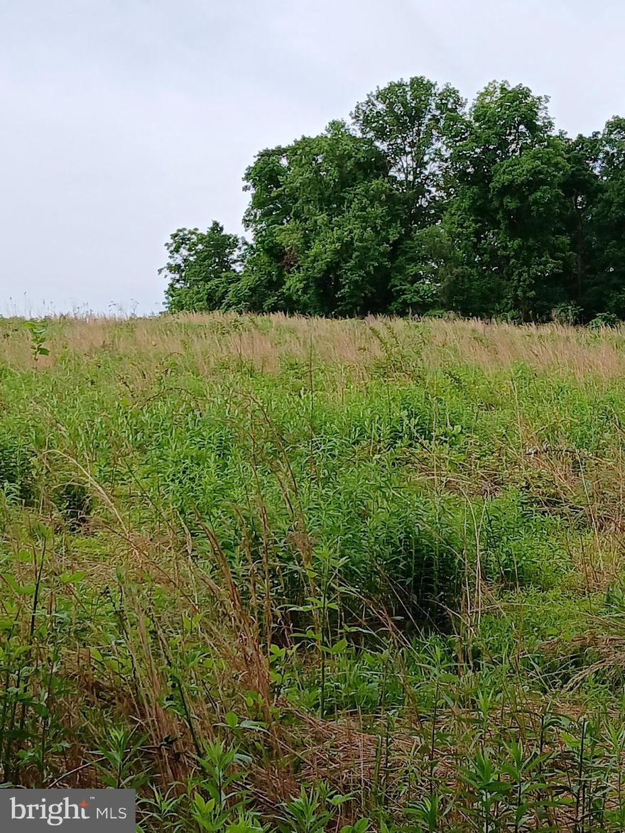 BEAUTIFUL 10 ACRE LOT WITH SCENIC VIEWS LOCATED IN THE QUIET COUNTRYSIDE OF BEAUTIFUL STREET MD. SMALL COMMUNITY WITH 4 LOTS.
PERC APPROVED  WITH  A WELL READY FOR YOUR  CUSTOM BUILT  HOME . 
NO BUILDER TIES OR WE CAN BUILD YOUR DREAM HOME FOR YOU. WE HAVE MANY DIFFERENT  CUSTOM PLANS .

SCENIC VIEWS IN EVERY DIRECTION!!!