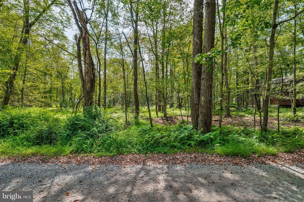 Photo of 804 Evergreen Drive, POCONO LAKE, PA 18347 (MLS # PAMR2005492)