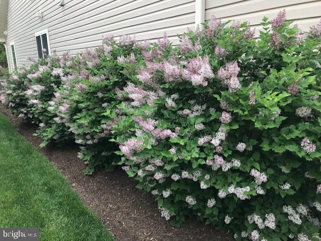 HERITAGE HUNT - Residential