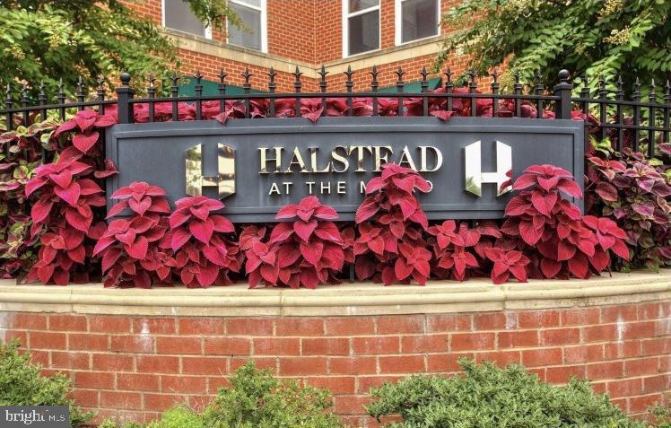 HALSTEAD AT THE METRO - Residential Lease