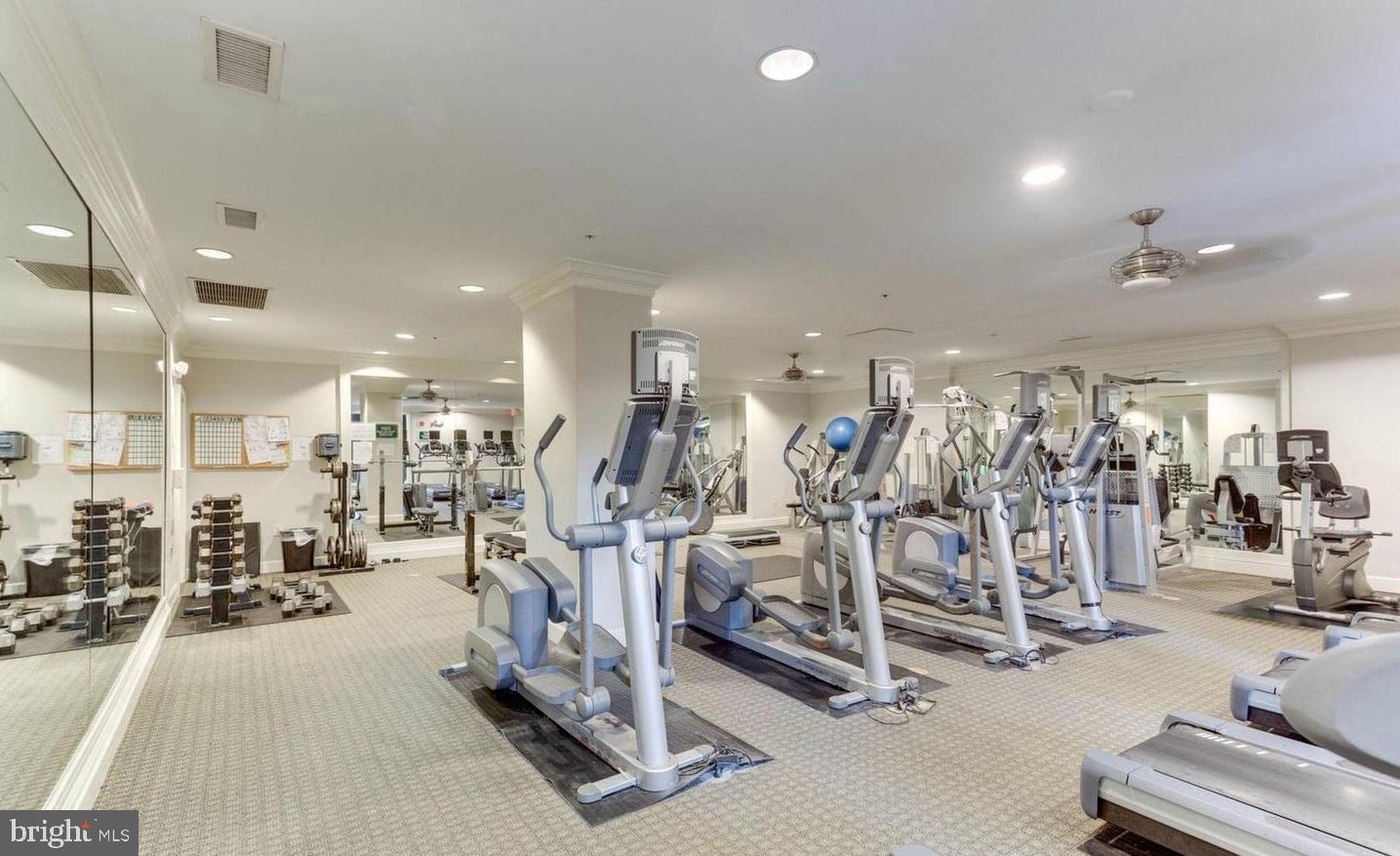 HALSTEAD AT THE METRO - Residential Lease