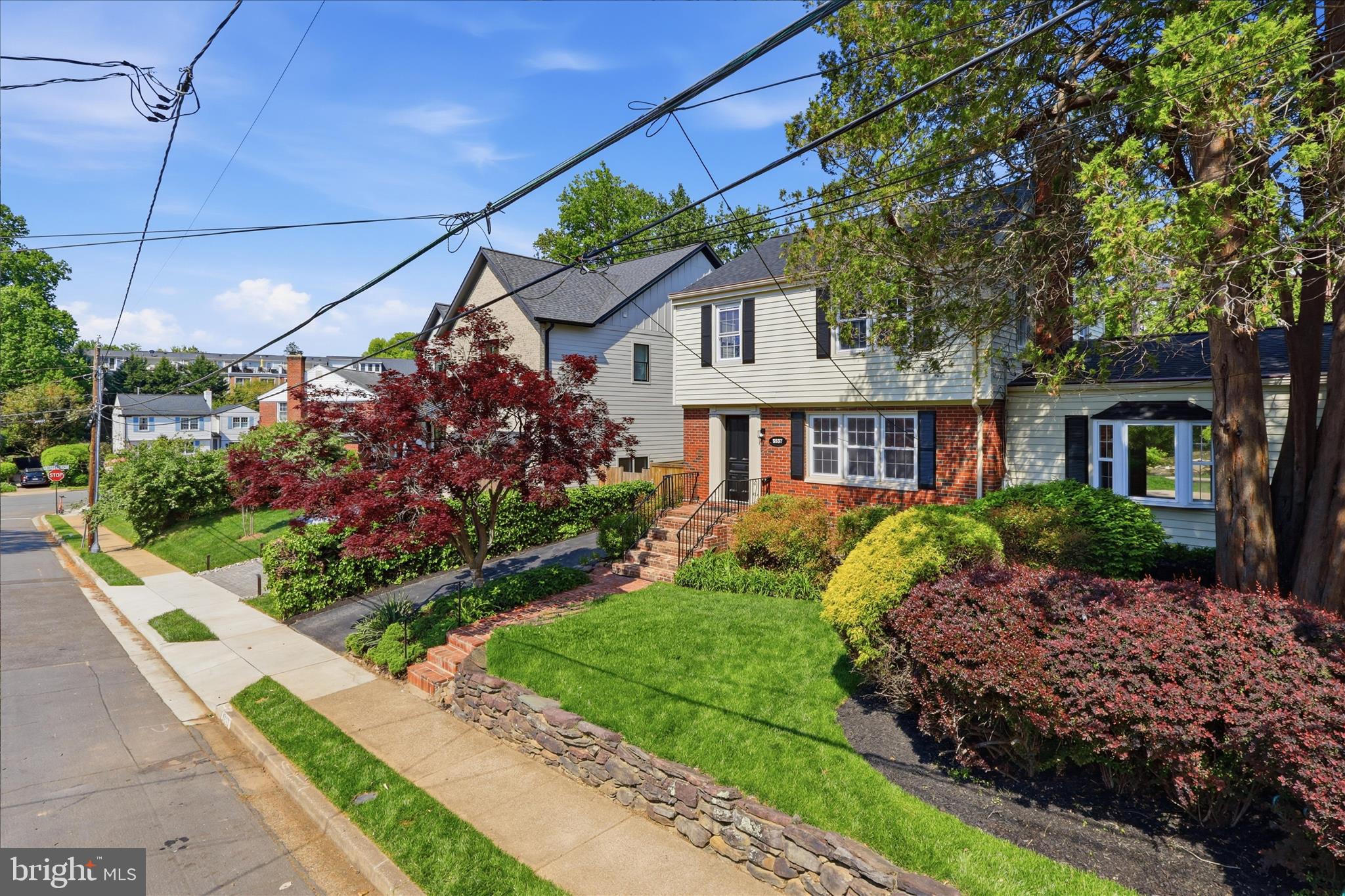 LACEY FOREST - Residential
