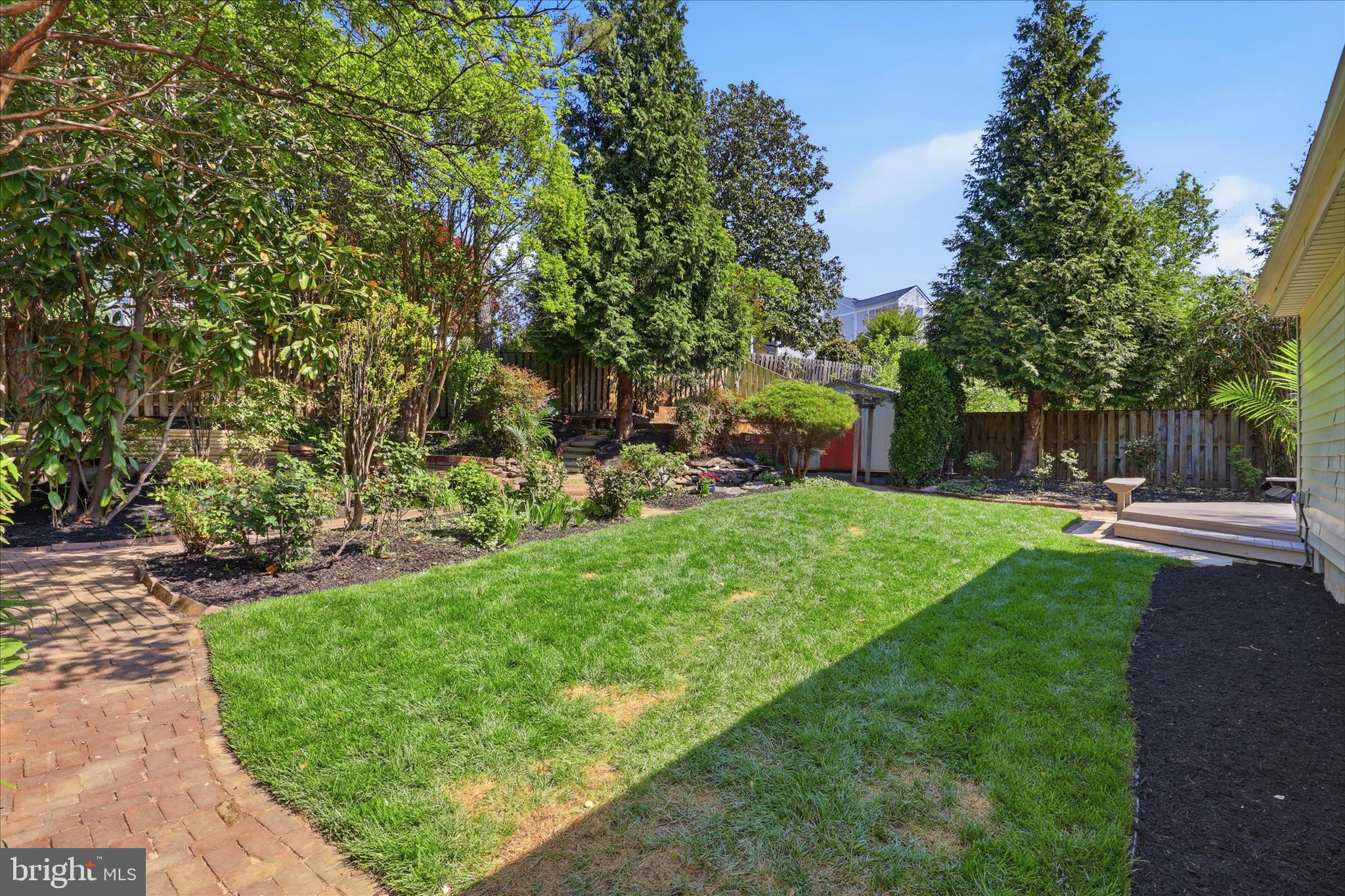 LACEY FOREST - Residential