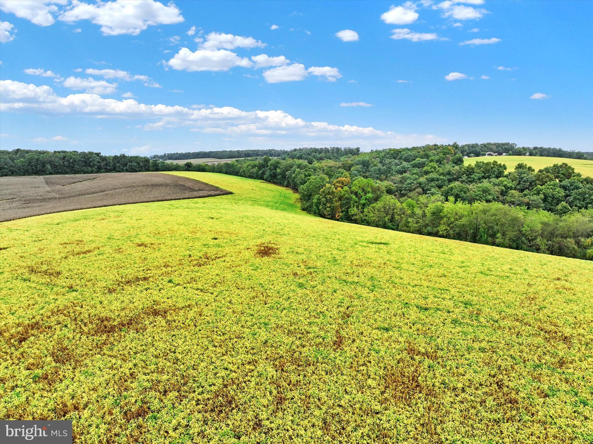 SOUTHERN YORK COUNTY - Farm