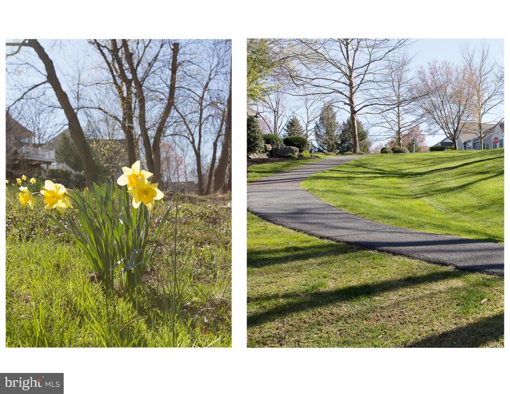 MILLCREEK - Residential