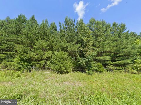 Vacant Land For Sale - West Saxkey Road<br/> Charlotte County, SAXE, VA 23967