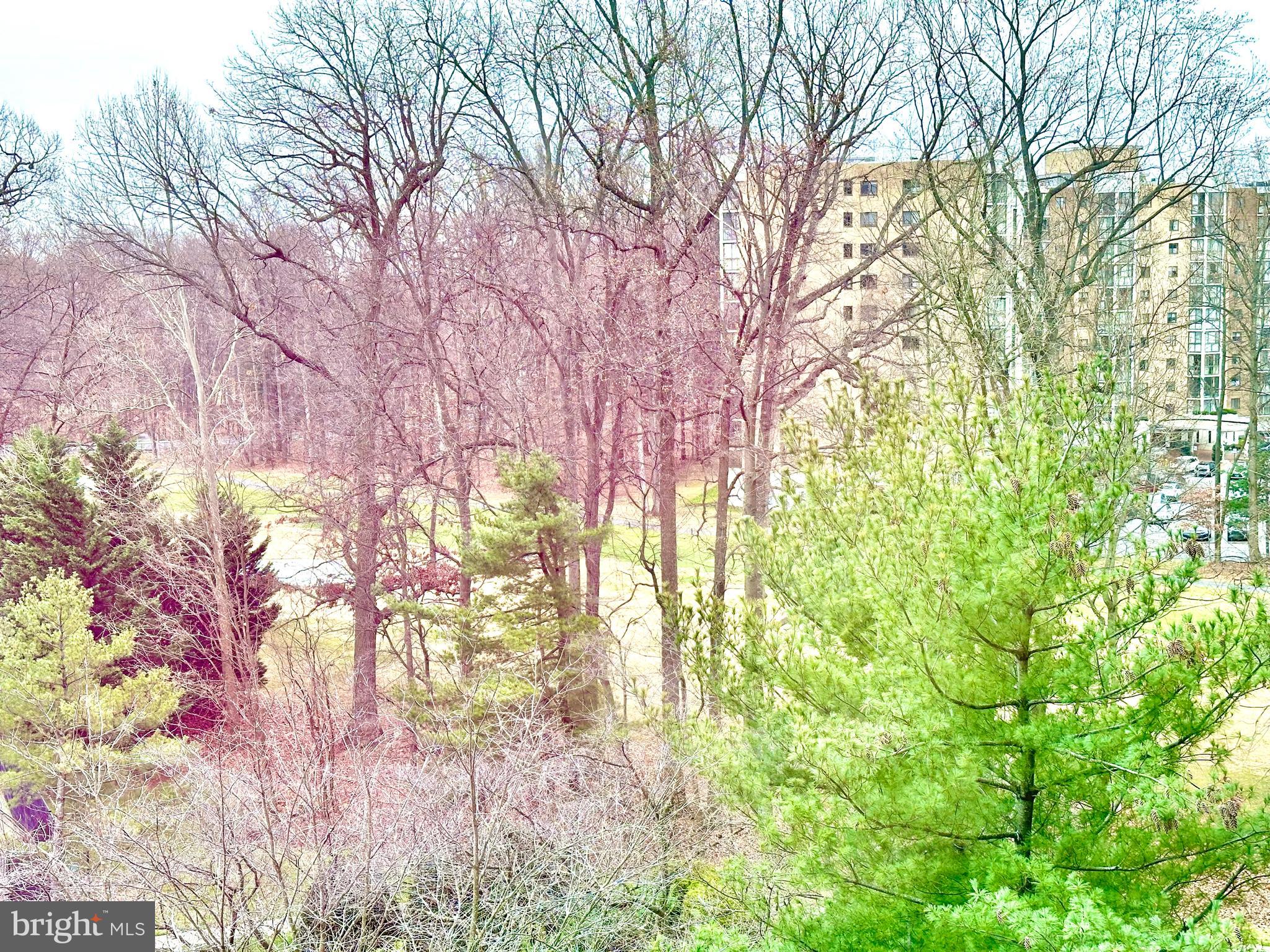 LEISURE WORLD - Residential Lease