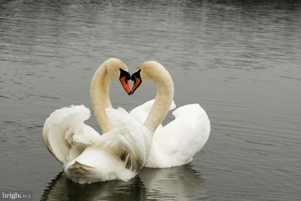 BAYSIDE BEACH - Residential