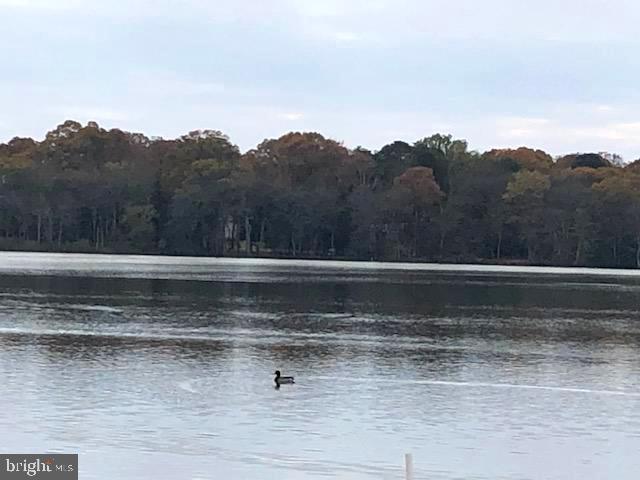 BAYSIDE BEACH - Residential