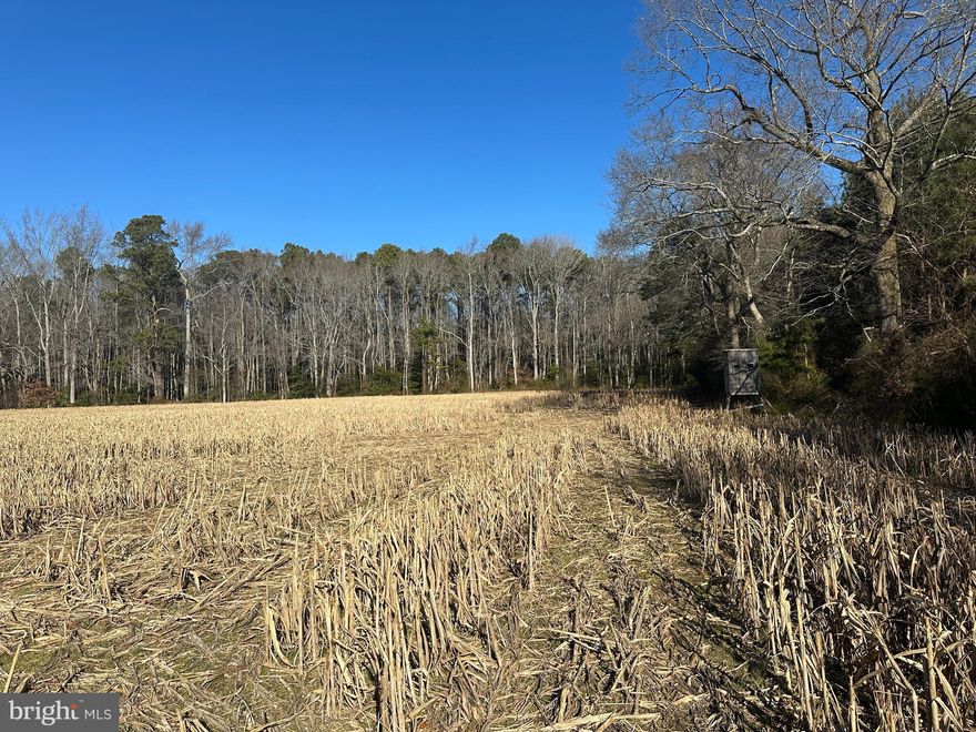 Set in Western Wicomico County, this 17.0± acre tract offers the kind of open, usable ground that’s becoming harder to find. The land is predominantly cleared and tillable, with productive soils made up largely of Klej-Galloway Complex and Cedartown loamy sand—well suited for continued agricultural use or potential for wildlife food plots. At the center of the property sits a freshwater farm pond, a natural focal point that also serves as a dependable water source for local wildlife. The land is currently leased and actively farmed, maintaining both its productivity and open character. Importantly, the property is free of conservation easements or deed restrictions, giving the next owner flexibility moving forward. A perc test has not yet been conducted, but current zoning does allow for the construction of a single-family dwelling if suitable perc approval is obtained.