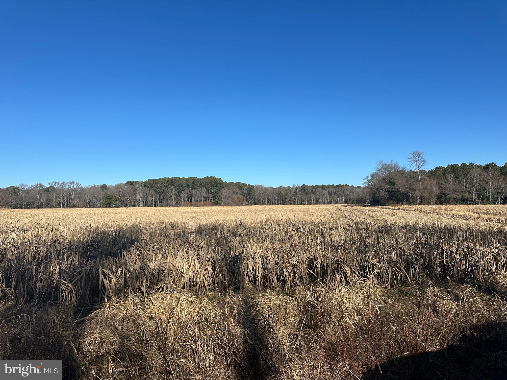 0 BIVALVE LODGE ROAD