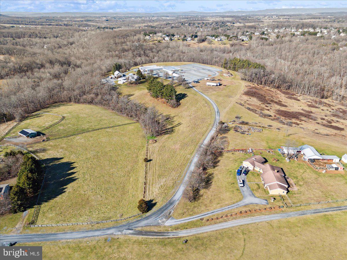 Discover the opportunity of owning a turnkey operation at 13107 Prices Distillery Road, Clarksburg, Maryland!
Situated on the historic Prices Distillery Road, this address embodies a rich heritage dating back generations. Conveniently located just moments away from Clarksburg's amenities and attractions, including shopping, dining, and top-rated schools, this property offers the perfect balance of serenity and convenience.
The property provides a terrific opportunity to own a turn-key business in Montgomery County. This is an opportunity to grow your existing business or start your own business. The nursery has ten greenhouses, equipment, and a store front. The nursery grows everything in the greenhouses from seed to customer. All greenhouses have water, heat, and two of the greenhouses are used for tropical plants.
This is a package sale which consists of over 40 acres of property, part in Montgomery County and part in Frederick County, 10 greenhouses, tractors, delivery vehicles, and other miscellaneous equipment and inventory. The package also includes a store front. The flower shop is under a lease agreement and the owner will assume the lease.
A Description of the store front:
Beall's Florist has been proudly serving the community since 1961. We are family owned and operated, serving most of Montgomery County, and parts of Frederick, Carroll, and Howard Counties. We are committed to offering only the finest floral arrangements, plants, and gifts; backed by our friendly and prompt service. Because all our customers are important, our professional staff is dedicated to making your experience a pleasant one. Our friendly drivers proudly deliver your product right to the doorstep. Let Beall's Florist be your first choice for flowers.
Areas Served:
Our shop serves the following areas: Adamstown, Barnesville, Beallsville, Bethesda, Boyds, Brookeville, Buckeystown, Clarksburg, Comus, Damascus, Darnestown, Derwood, Dickerson, Frederick, Gaithersburg, Germantown, Hyattstown, Ijamsville, Kensington, Laytonsville, Leisure World, Lisbon, Monrovia, Montgomery Village, Mount Airy, New Market, North Potomac, Olney, Poolesville, Potomac, Rockville, Urbana and Woodbine.
We also deliver to the following facilities:
Barber's Funeral Home
DeVol Funeral Home
Molesworth Funeral Home
Snowden's Funeral Home