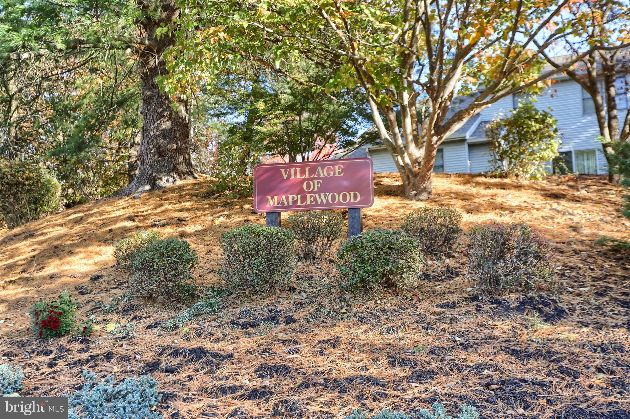 BEACON HILL - Residential