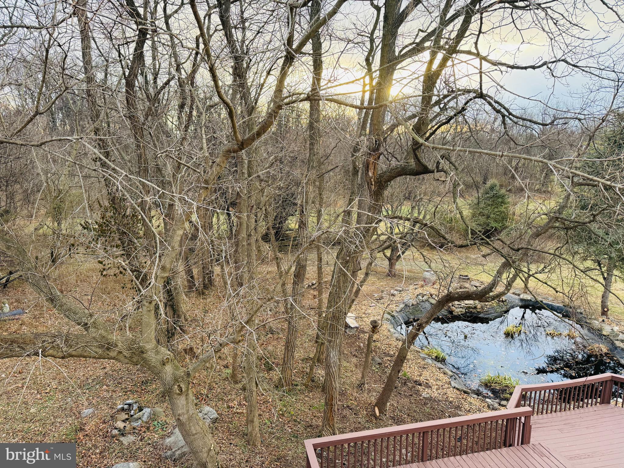 SWAN POND - Residential