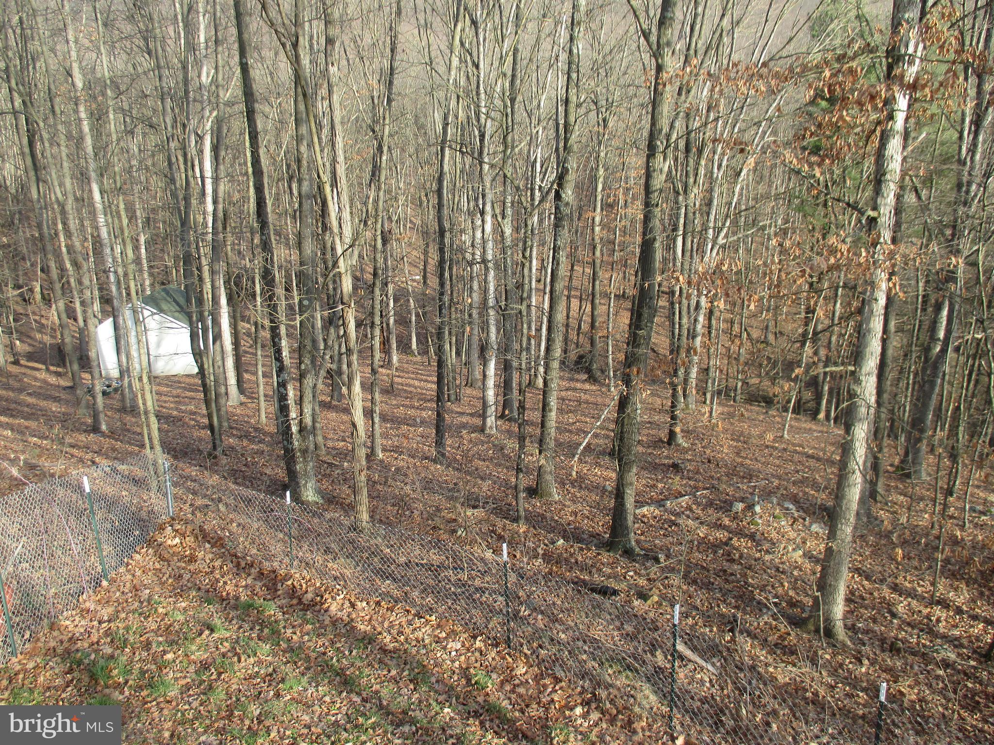 CACAPON MOUNTAIN RETREAT - Residential