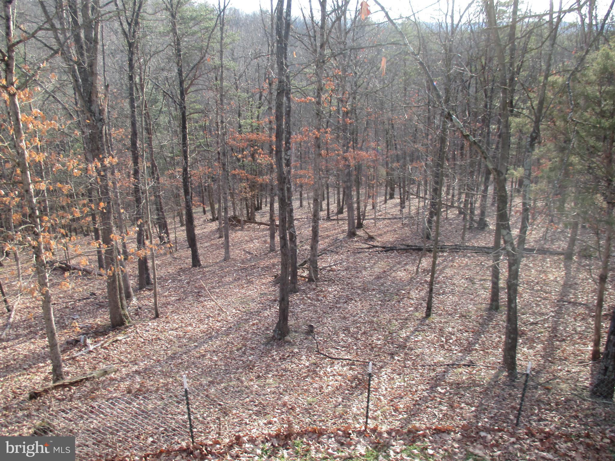 CACAPON MOUNTAIN RETREAT - Residential