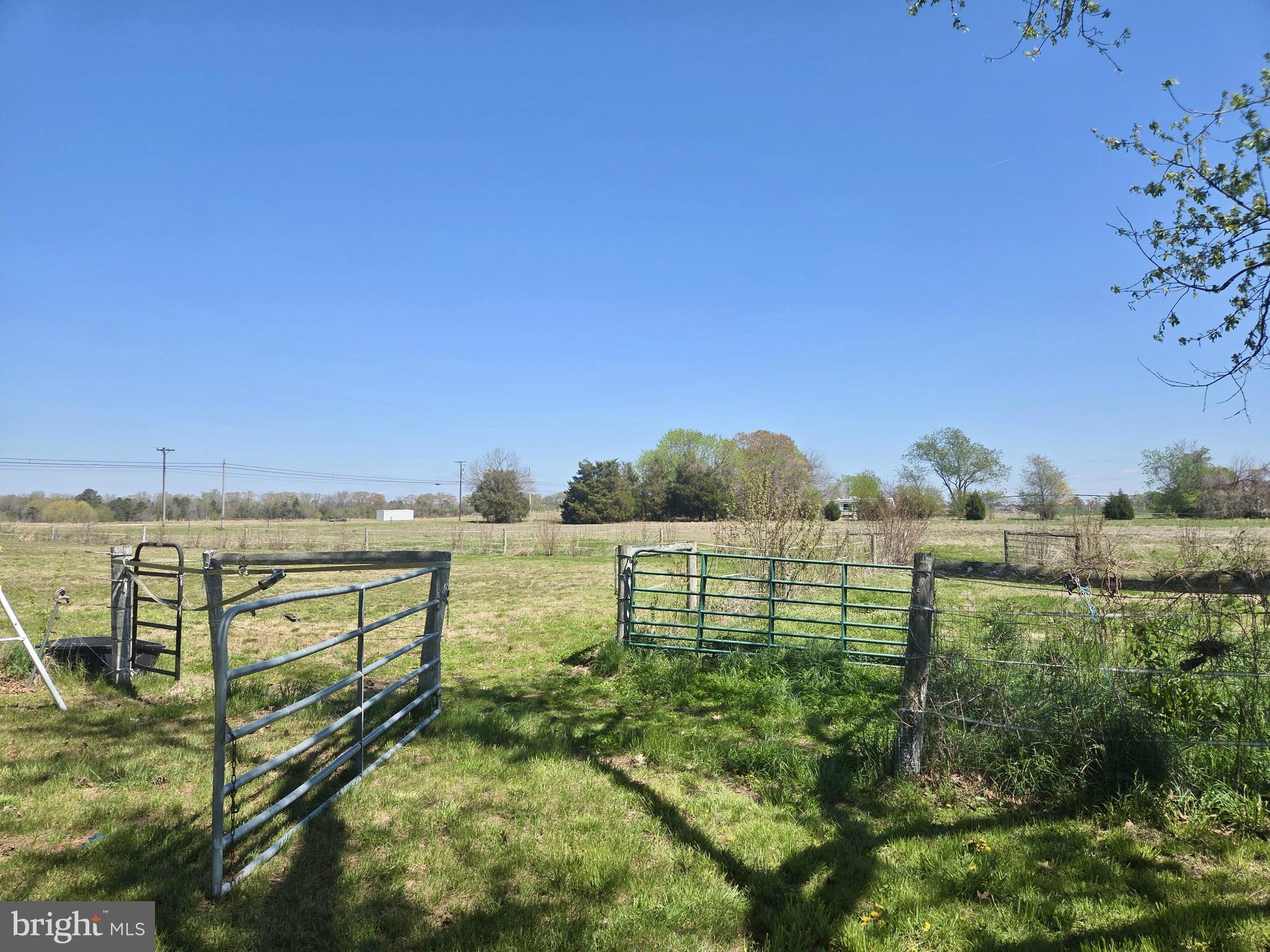 RHODESDALE - Residential