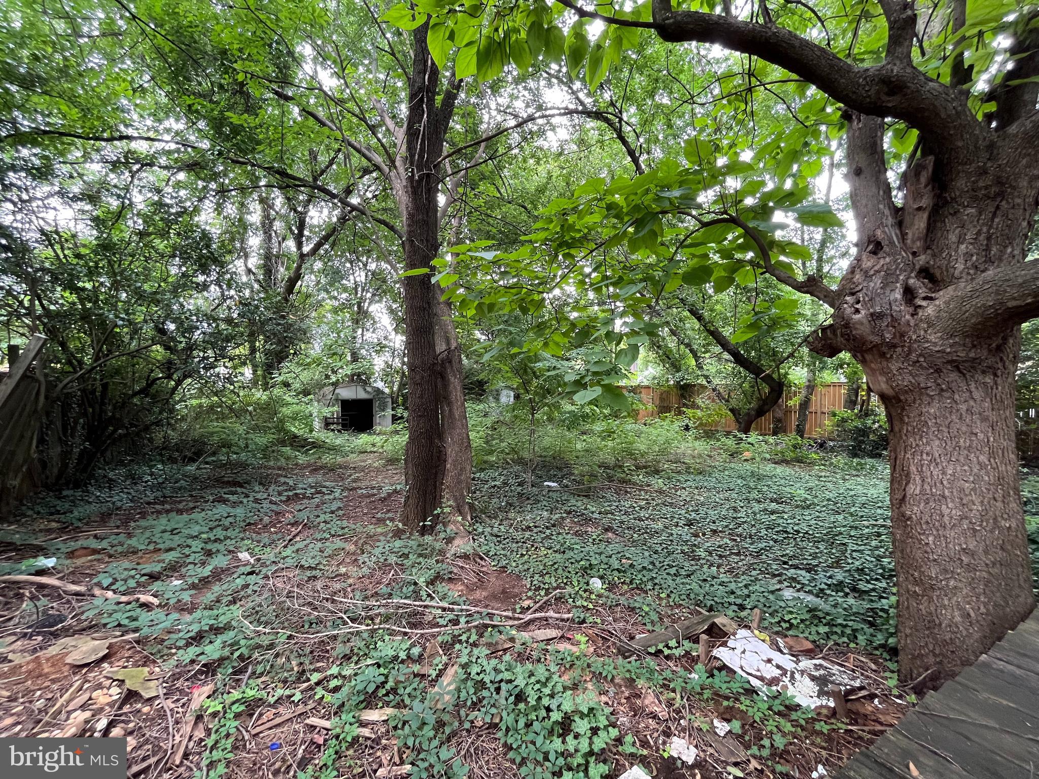 DOUGLAS PARK - Residential