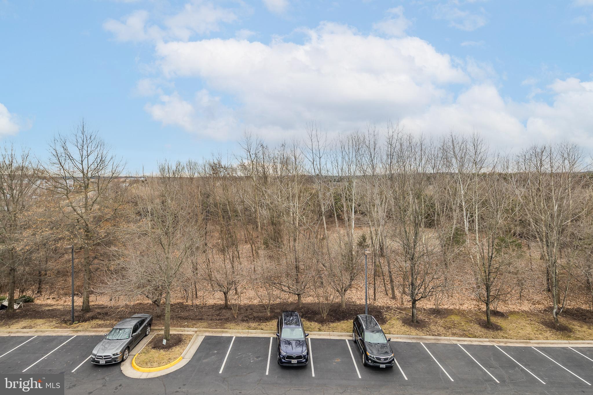 STRATFORD CLUB - Residential