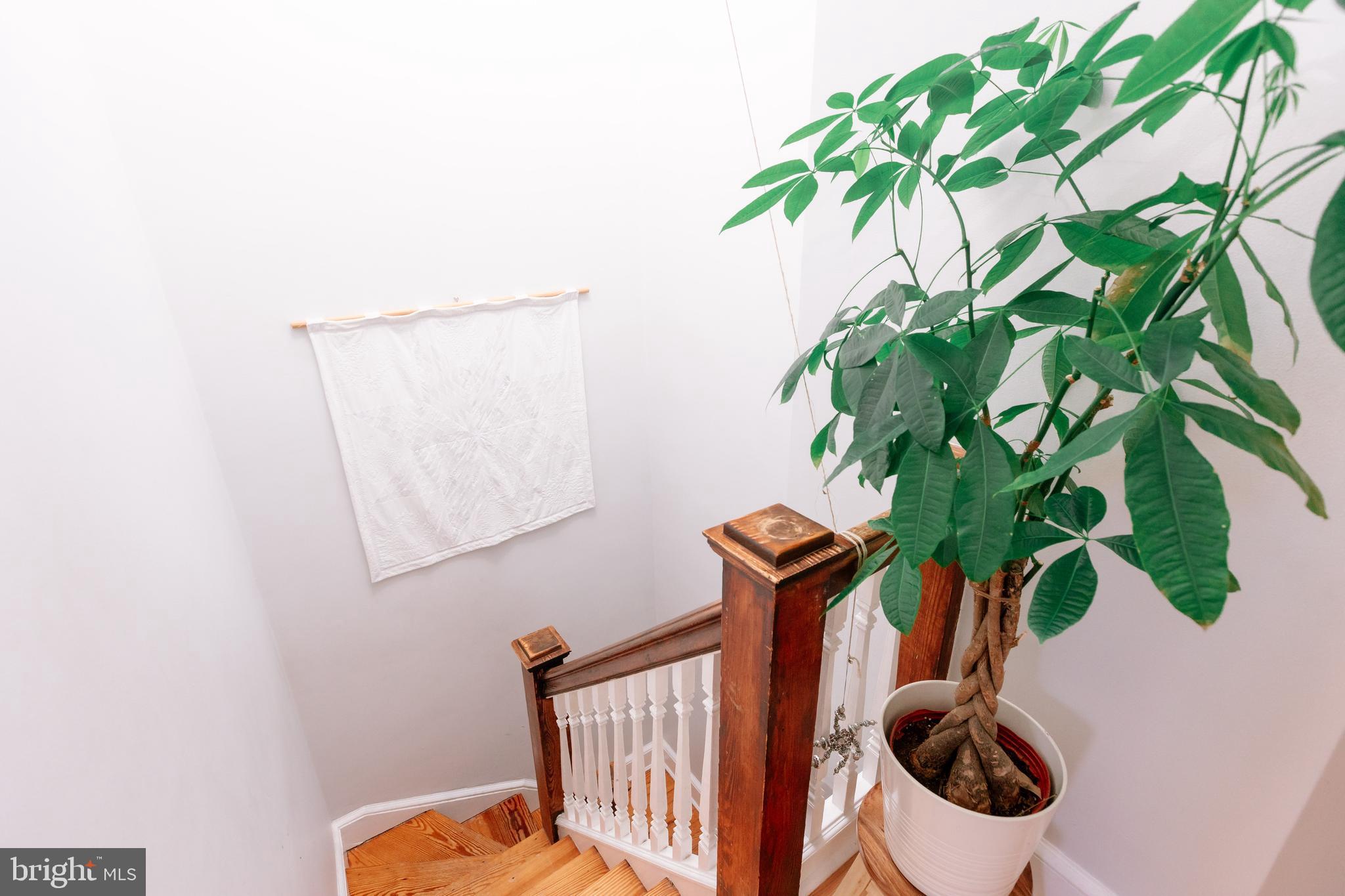 CHARLES VILLAGE - ABELL HISTORIC DISTRICT - Residential