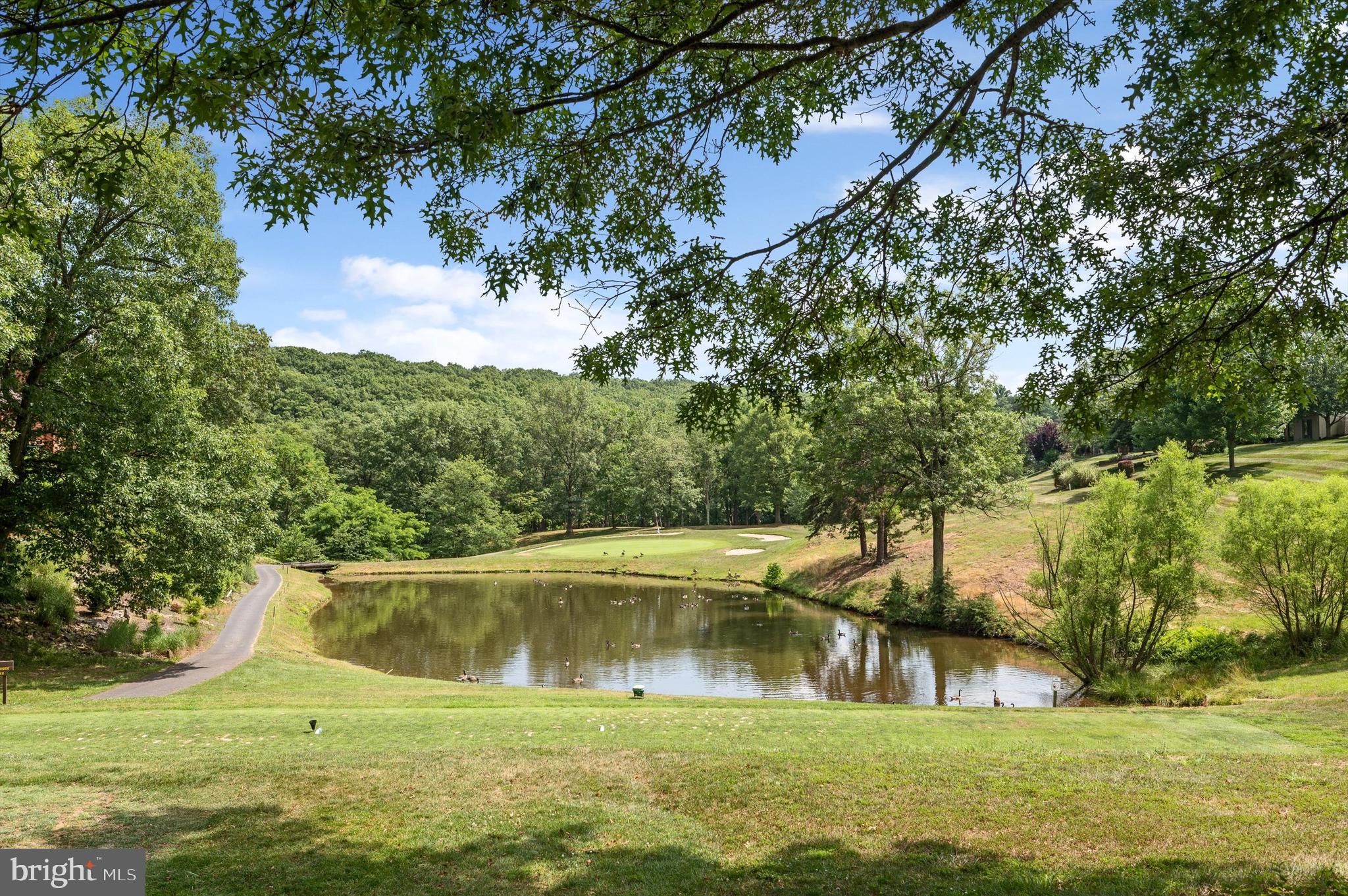 THE WOODS - Residential