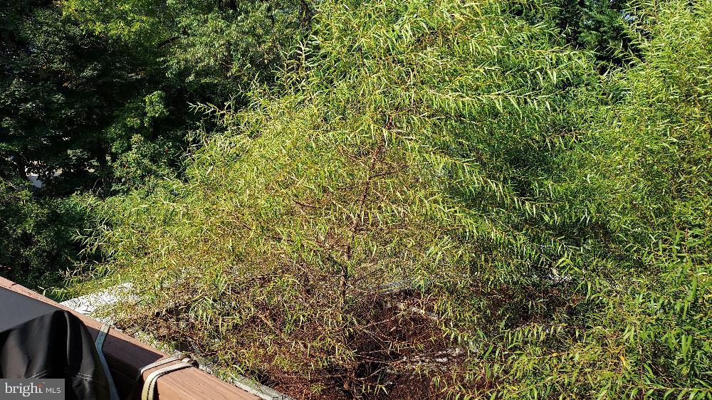 GLEN MARY HEIGHTS - Residential