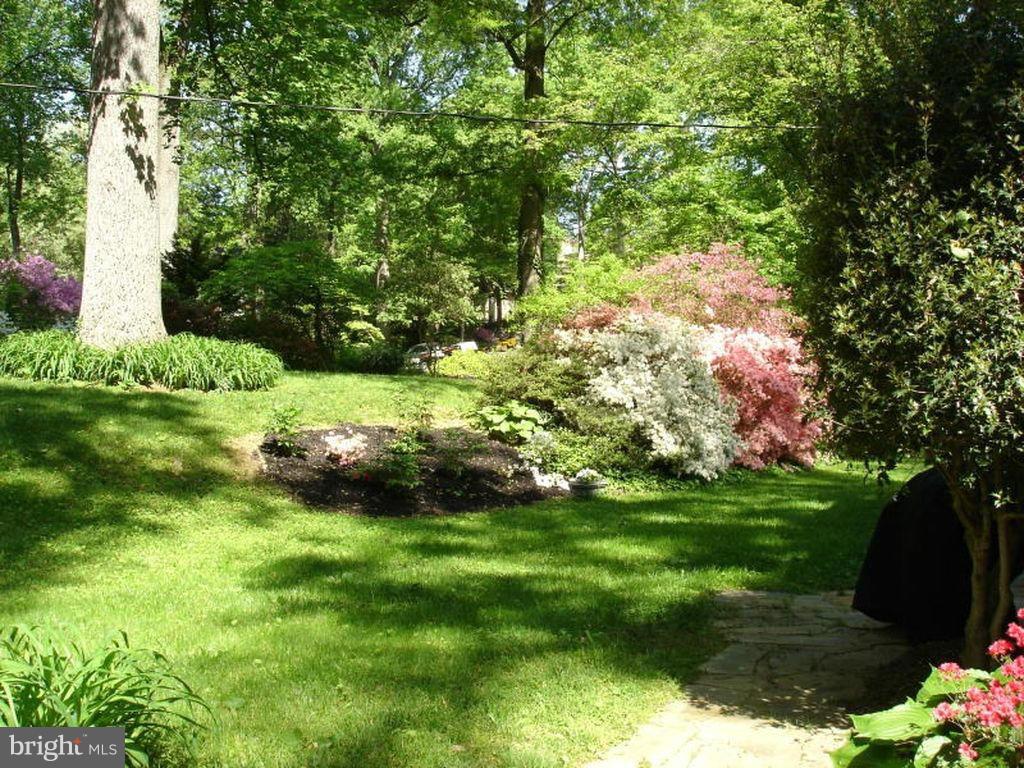 ARLINGWOOD - Residential Lease