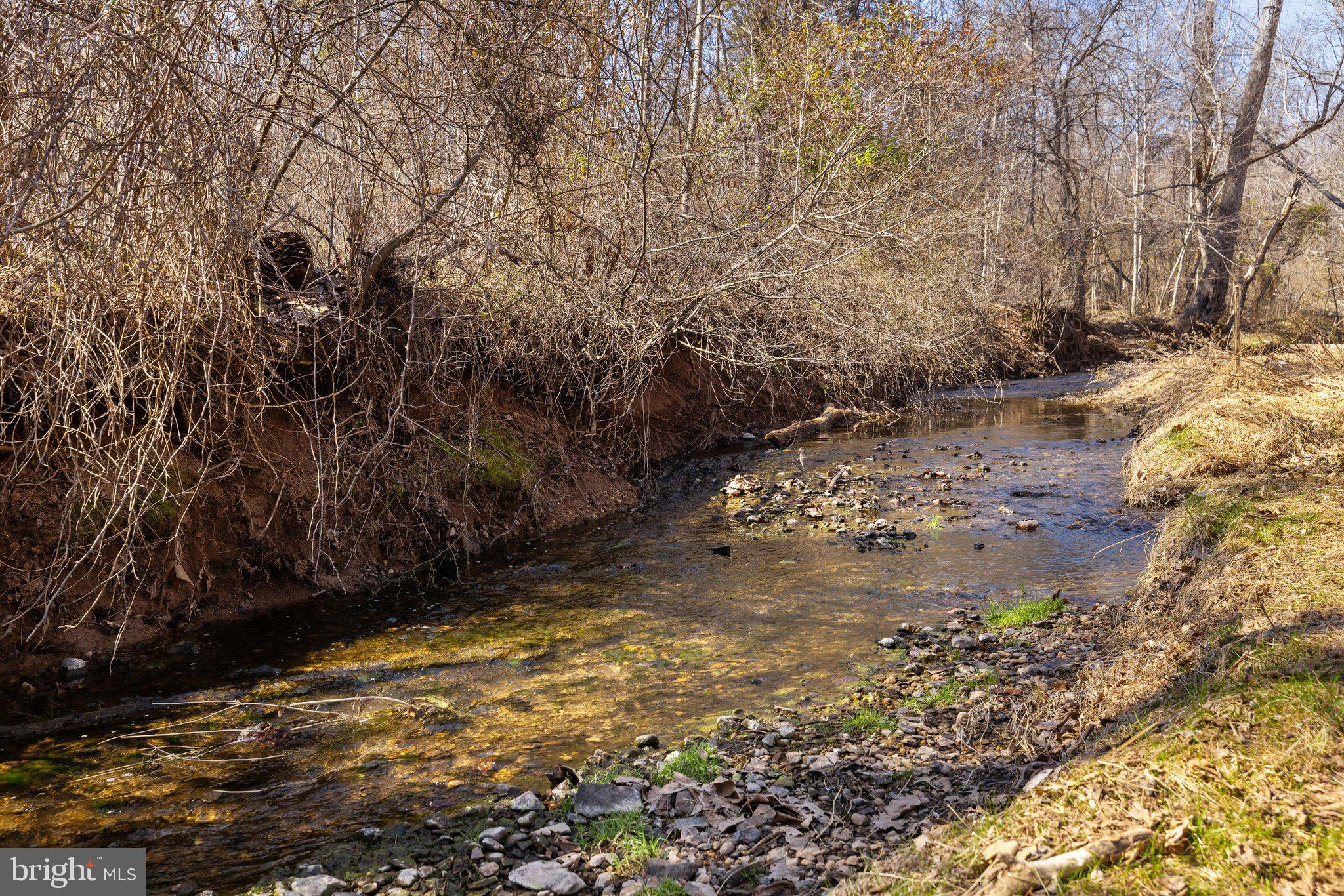 STONEY BRANCH CROSSING - Residential