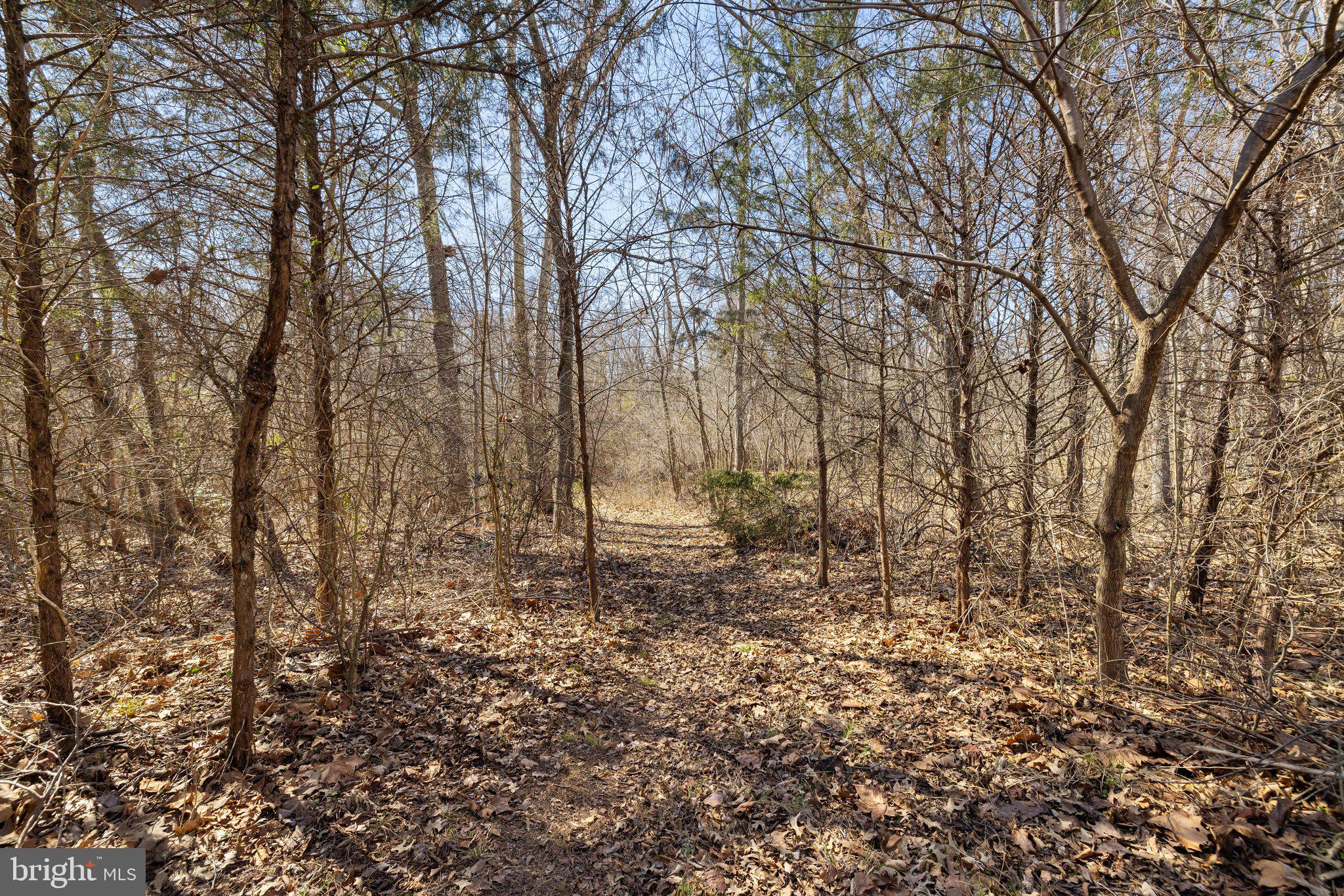 STONEY BRANCH CROSSING - Residential