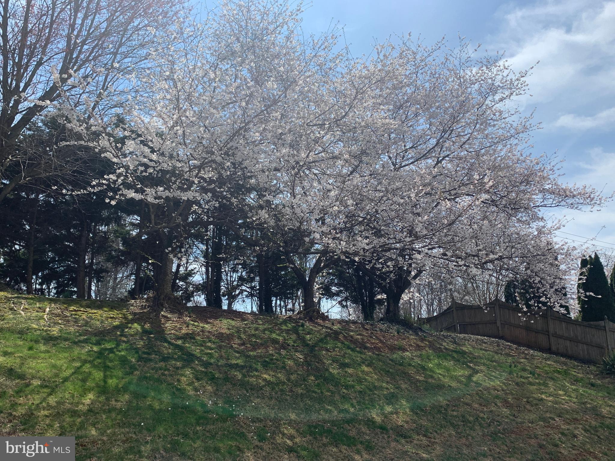 MEADOWS OF MINNIEVILLE - Residential