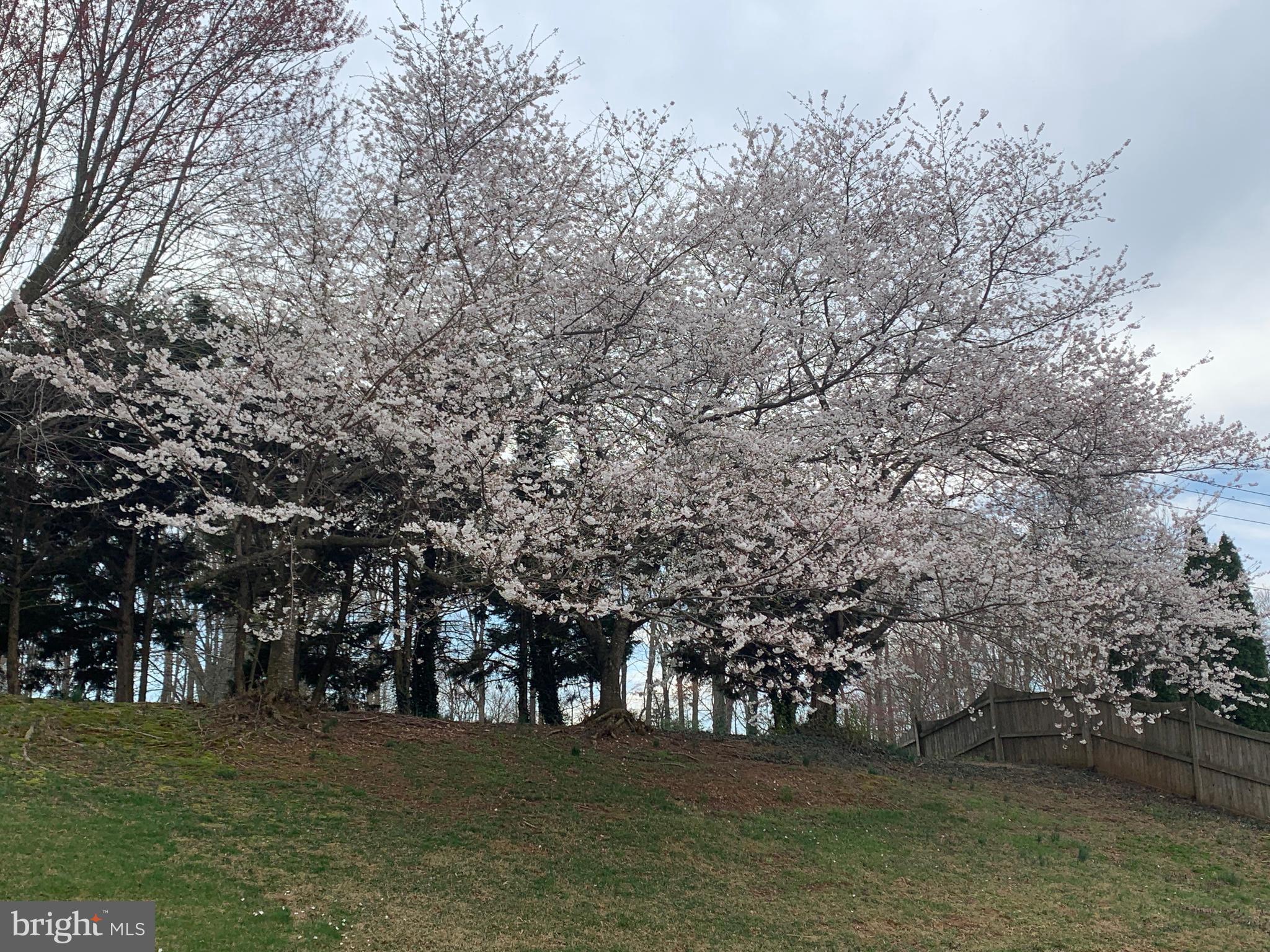 MEADOWS OF MINNIEVILLE - Residential