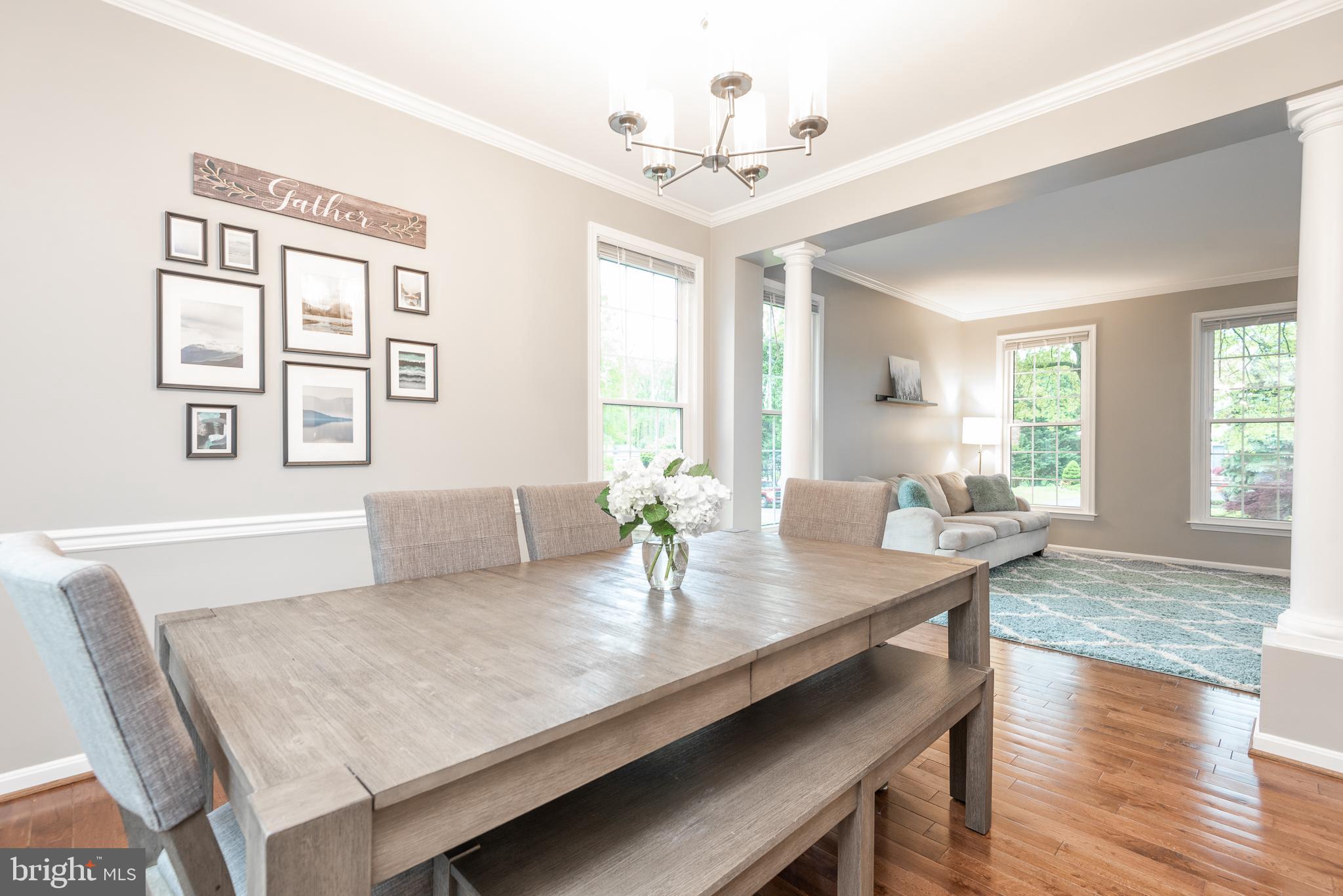 MEADOWS OF MINNIEVILLE - Residential