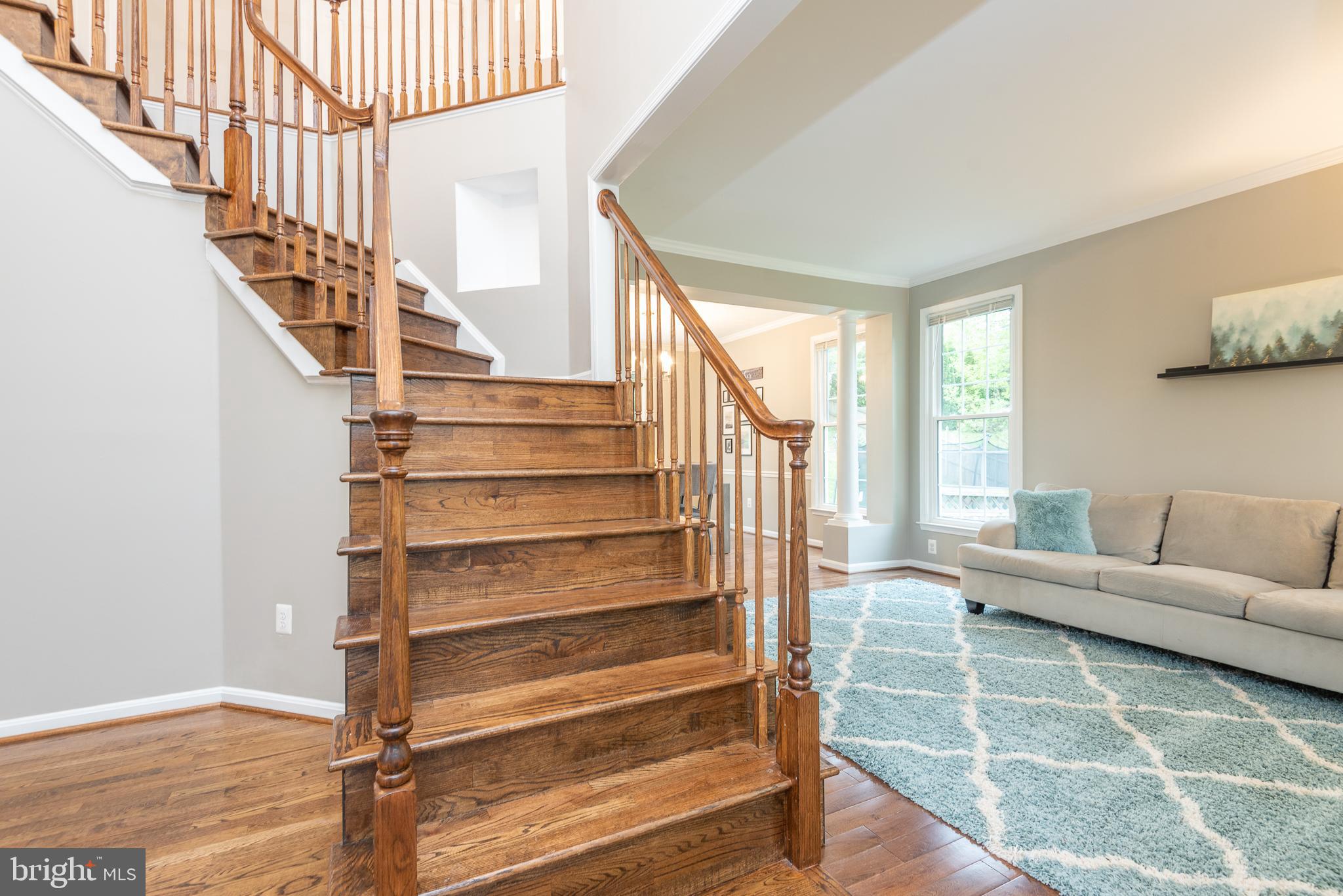 MEADOWS OF MINNIEVILLE - Residential