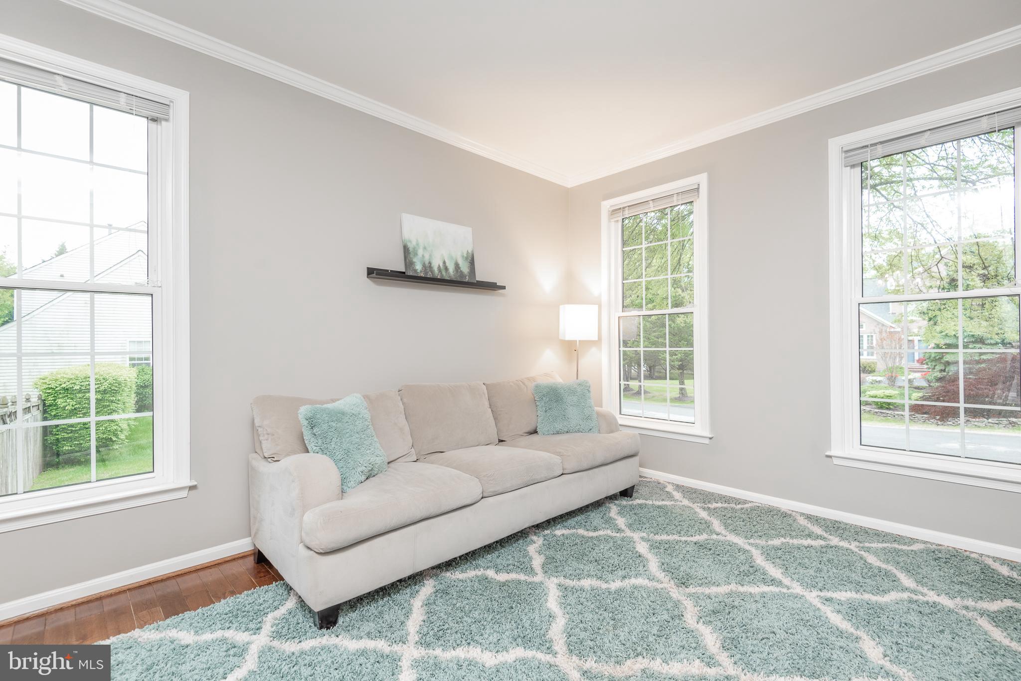 MEADOWS OF MINNIEVILLE - Residential