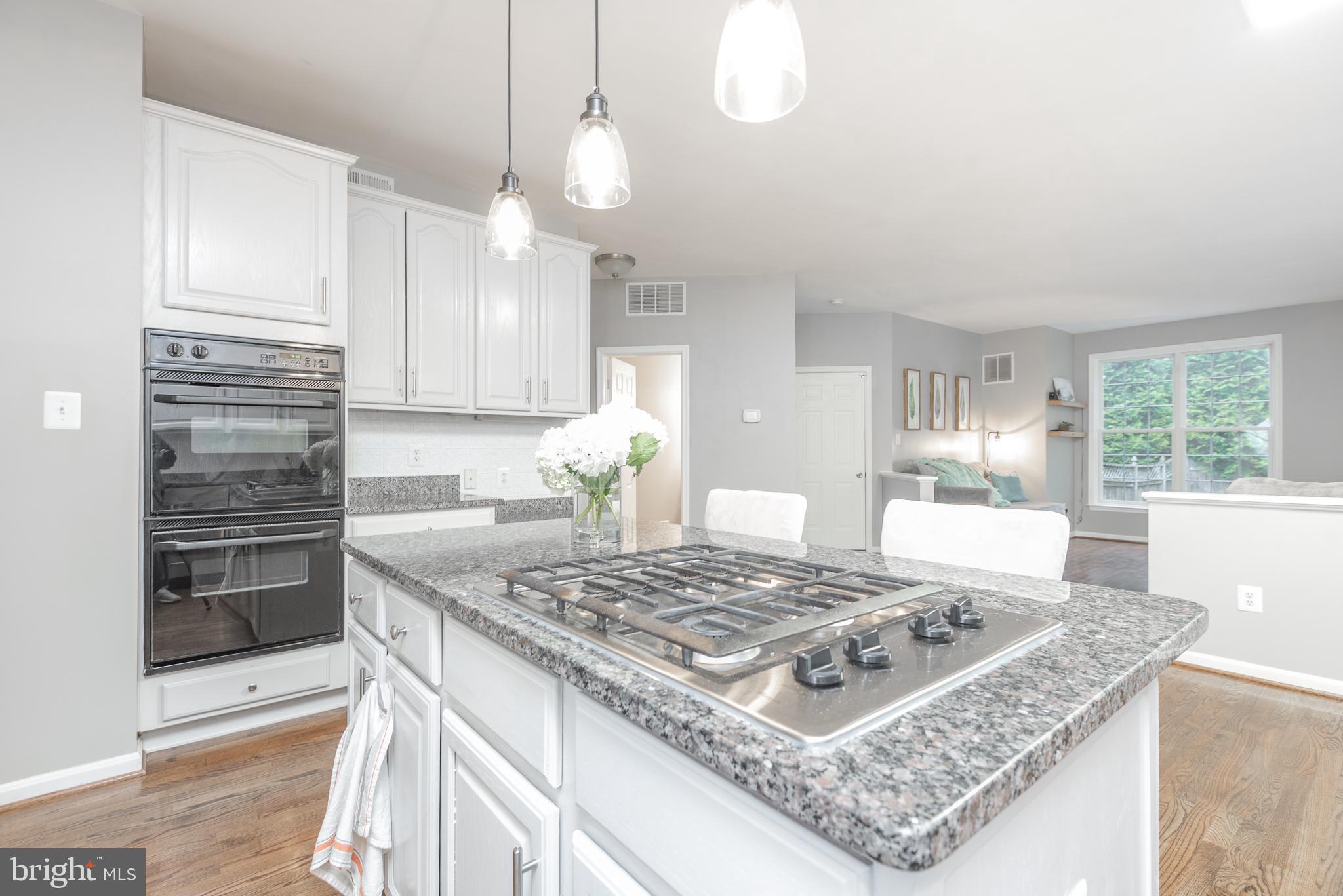 MEADOWS OF MINNIEVILLE - Residential