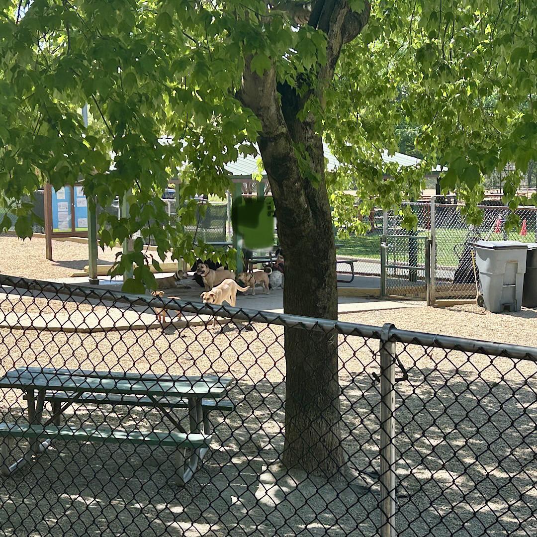 FAIRLINGTON GLEN - Residential