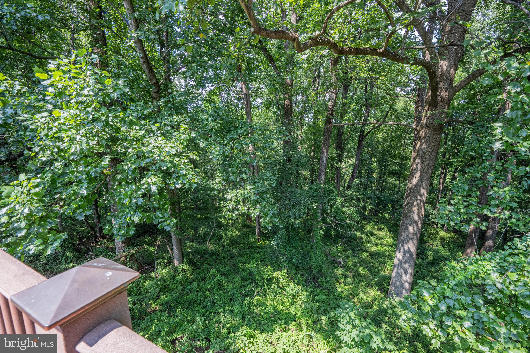 HOLLIFIELD ESTATES - Residential