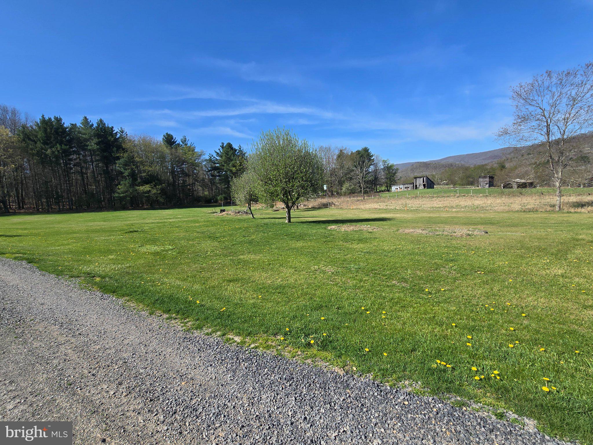 540 PLUM RUN ROAD
