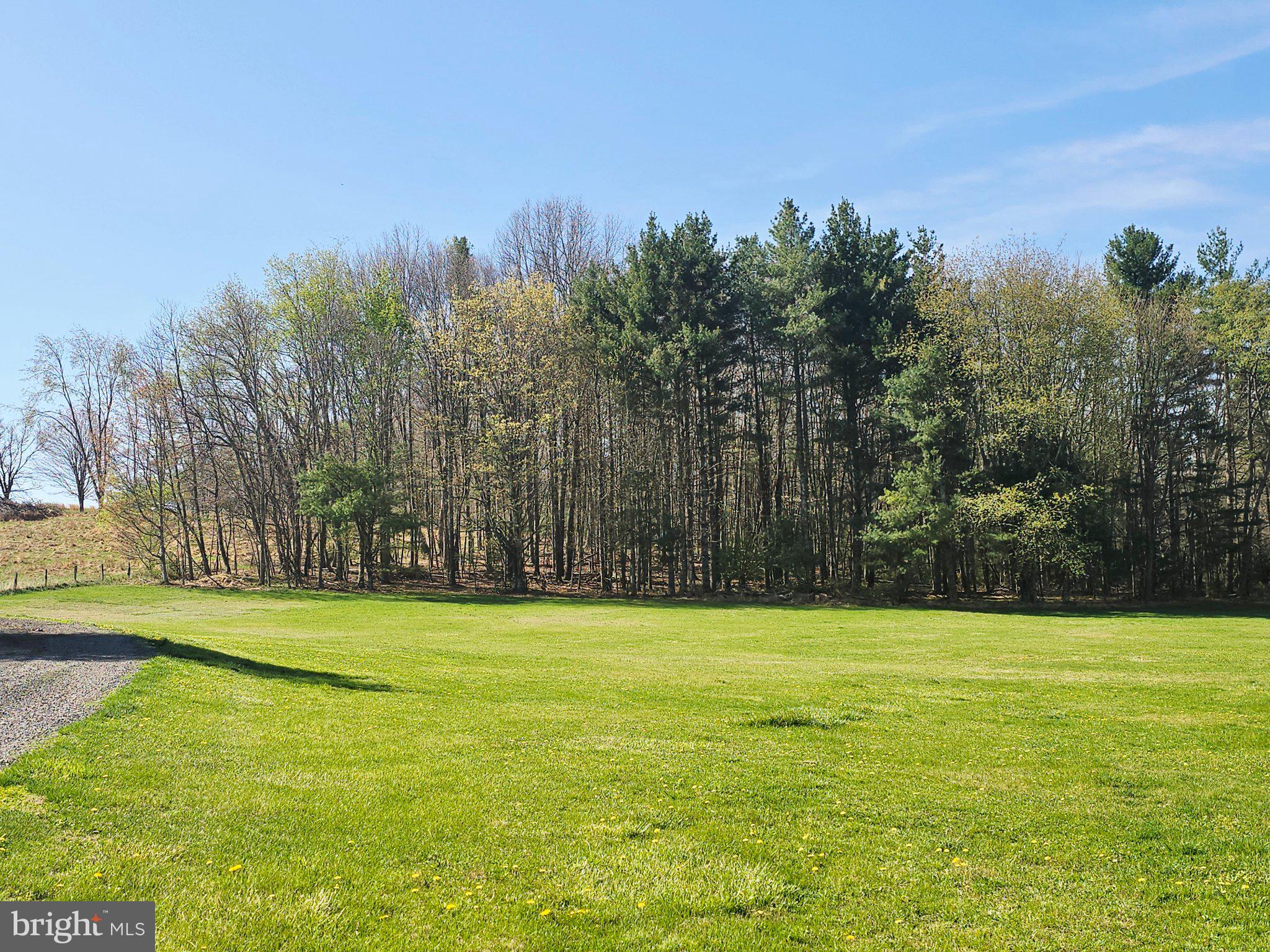 540 PLUM RUN ROAD