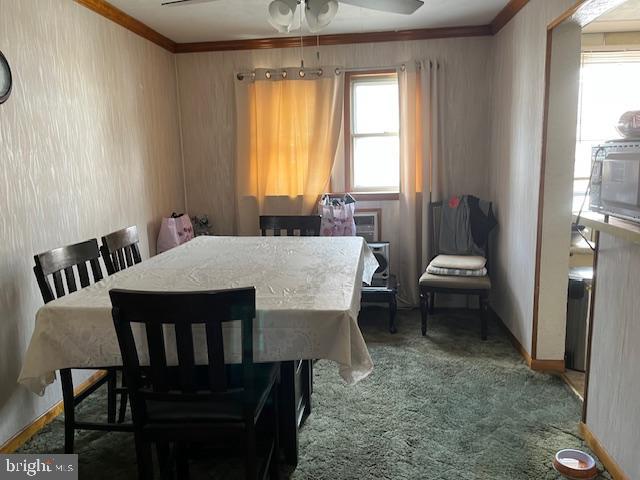 PHILADELPHIA (SOUTHWEST) - Residential